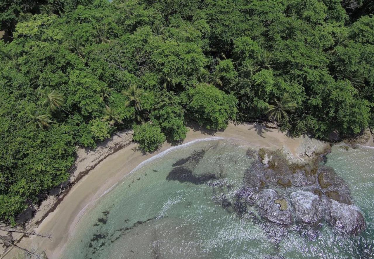 Posada Nena Caribe Puerto Viejo de Talamanca Buitenkant foto