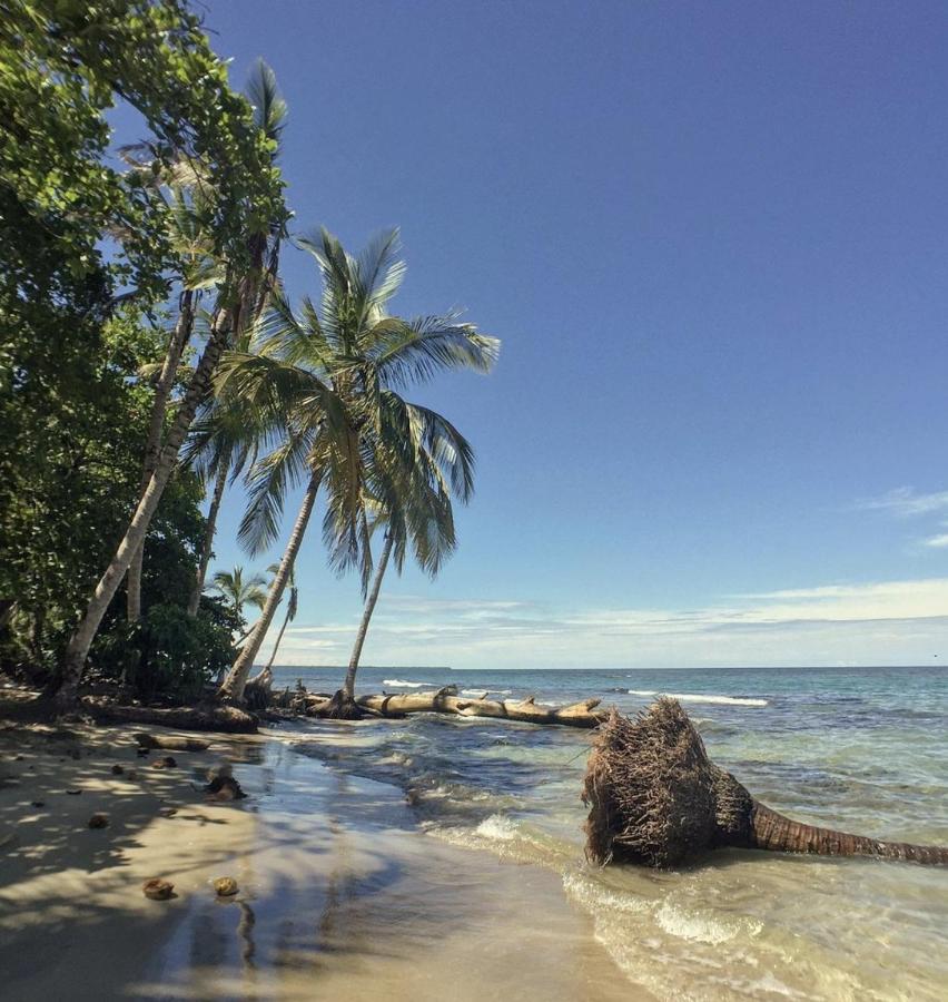 Posada Nena Caribe Puerto Viejo de Talamanca Buitenkant foto