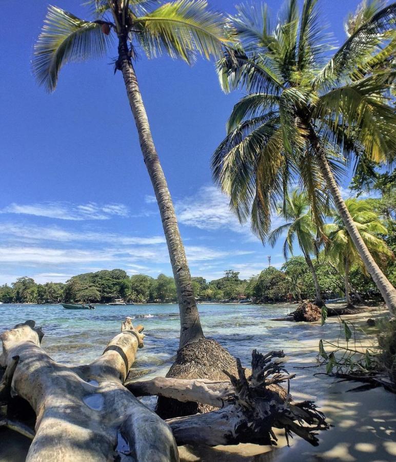 Posada Nena Caribe Puerto Viejo de Talamanca Buitenkant foto