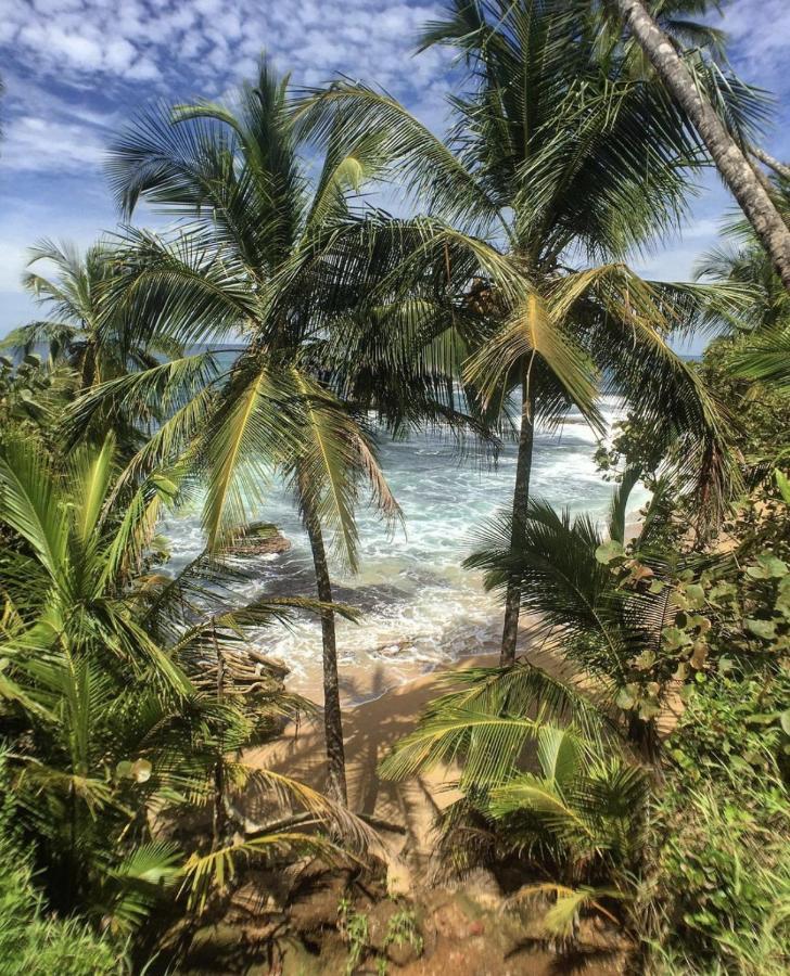 Posada Nena Caribe Puerto Viejo de Talamanca Buitenkant foto