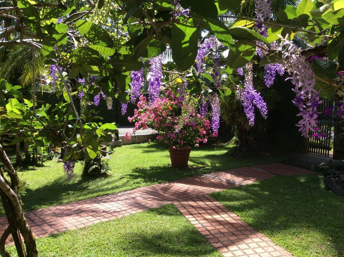 Posada Nena Caribe Puerto Viejo de Talamanca Buitenkant foto